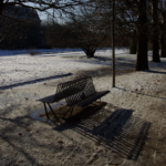 Le Jardin des Plantes sous la neige (2010)